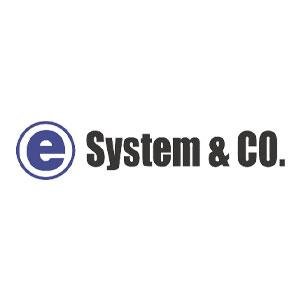 株式会社e-system